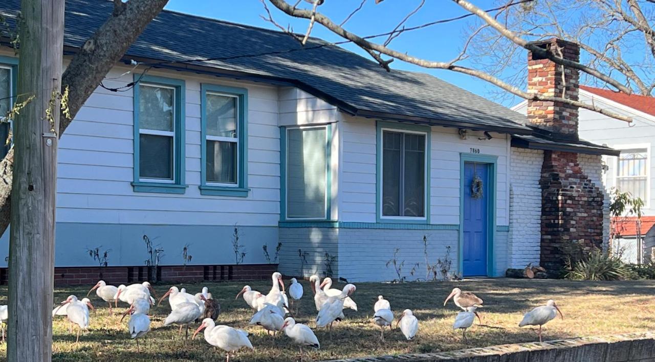 Pool Home Sleeps 6 With Large Fenced Yard ジャクソンビル エクステリア 写真